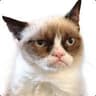 Twitch.tv/GrumpyPat_tv