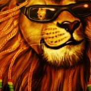 Mr.Kush