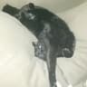 Im New Here