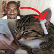 rufus stinker