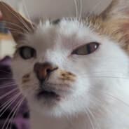 wat you say to me