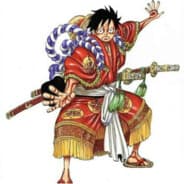 zi mm
