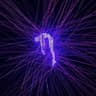 Zoiex