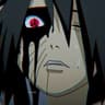 your lie predator