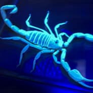 SCORPIO