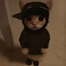 gangsta cat