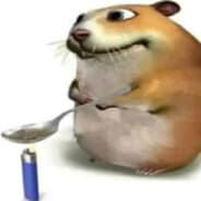 NEFST