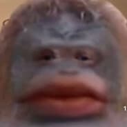 jonnybaklafen