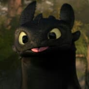 BÓBR KURWA