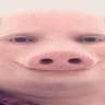 John Pork
