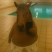 fat horse