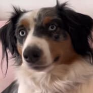 kesken
