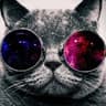 HurriCane [AUT]