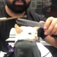 left airpod