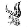 Falcon