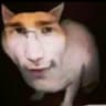 misky