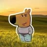 OSMIN