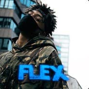 Flexム