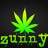 Zunnyboy