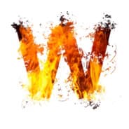 Warudo3 g4skins
