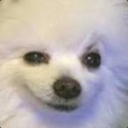 GabeTheBork