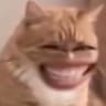 kussi