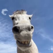 lll