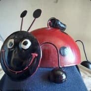 Ladybug
