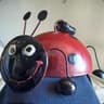 Ladybug