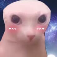 bingus