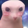 bingus