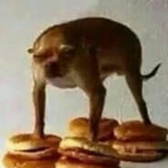QQHard