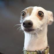 Hi