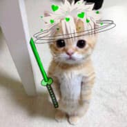 sanemi cat
