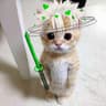 sanemi cat