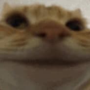 HappiNeko
