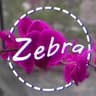 Zebra Inadequate