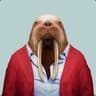 Walrusses