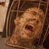 NOT THE BEE