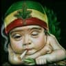 Herb