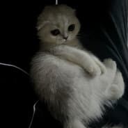 karra