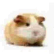 yes