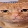 IDK