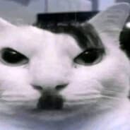 zaebav