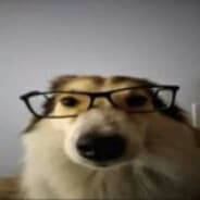 asssniffer