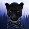 PumaChief