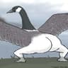Goose [⇄] 24/7