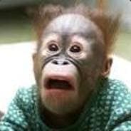 D!rtyMoNKEY!!