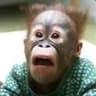 D!rtyMoNKEY!!