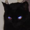 hecking